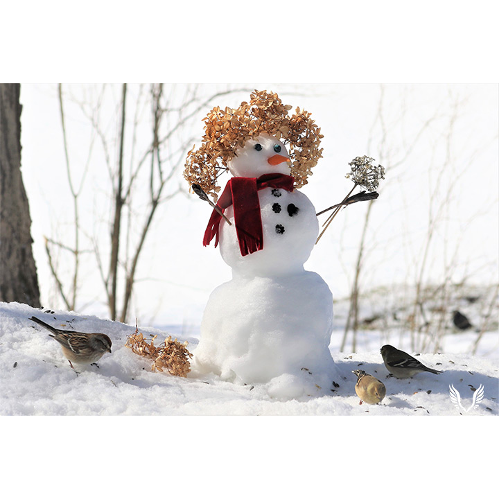 Winter Snowy Lady And Friends