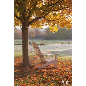 Seat by tree in Autumn