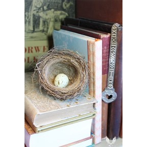 Books and Nest