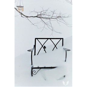 Snow Chair