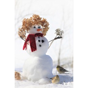 Snowy lady with Charm